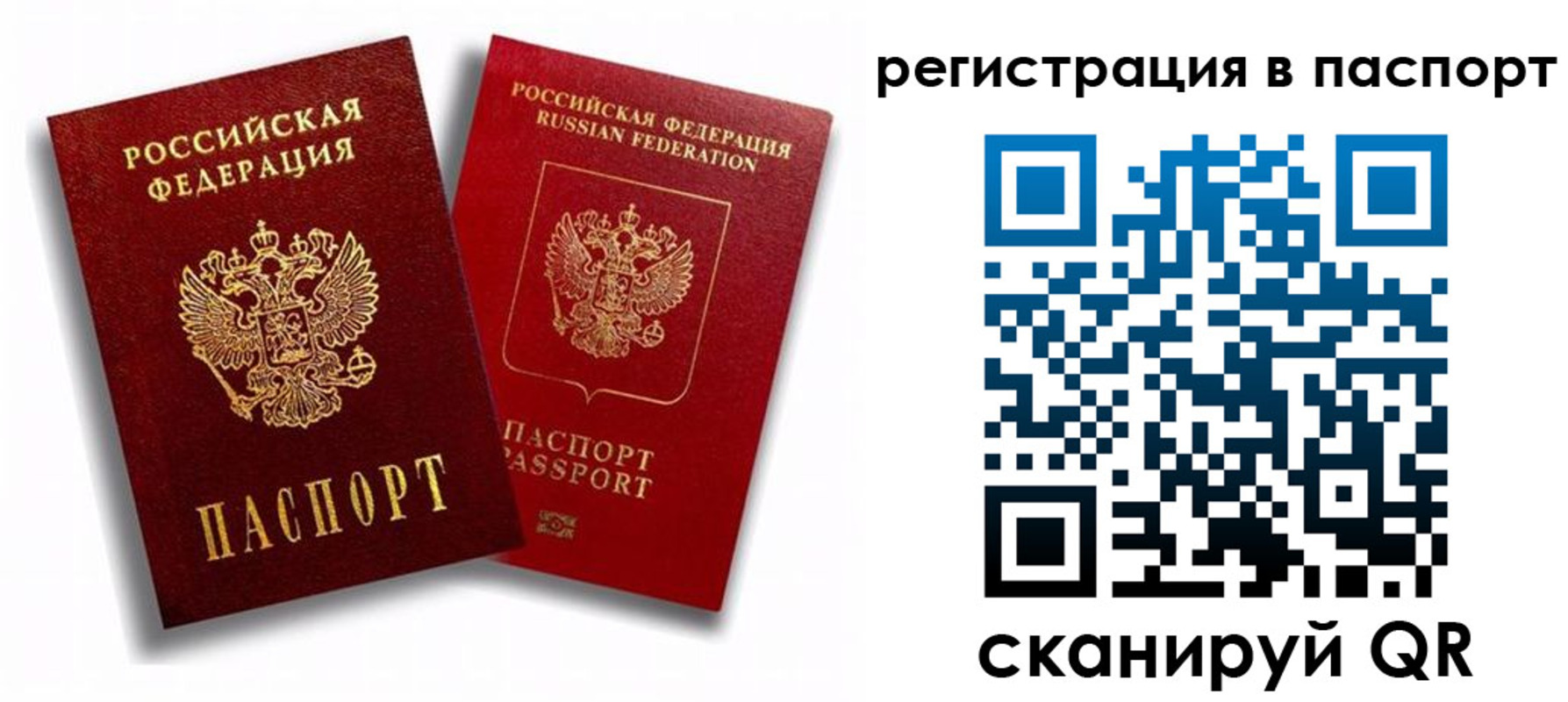 прописка 2025 в Озёрске